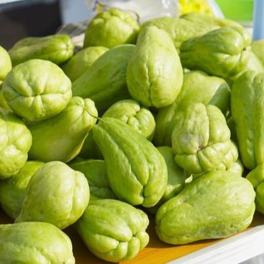 

Labu Siam Ammaryllis Sayur Segar