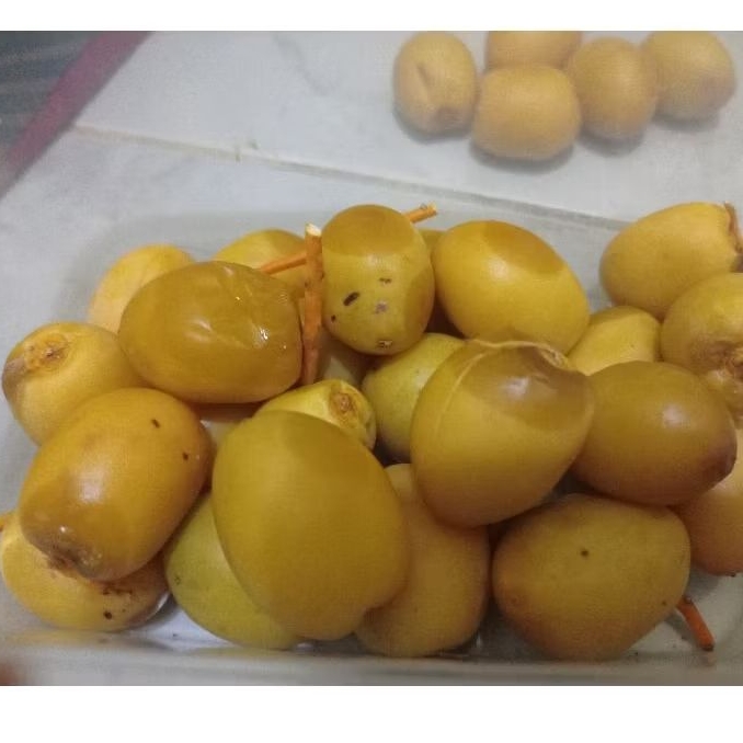 

Kurma Muda mateng Ruthob Barhie Manis Fresh 250gr Khusus INSTAN/SAMEDAY