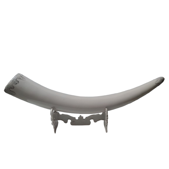 Pajangan dinding hiasan meja lemari kaca replika gading gajah polos