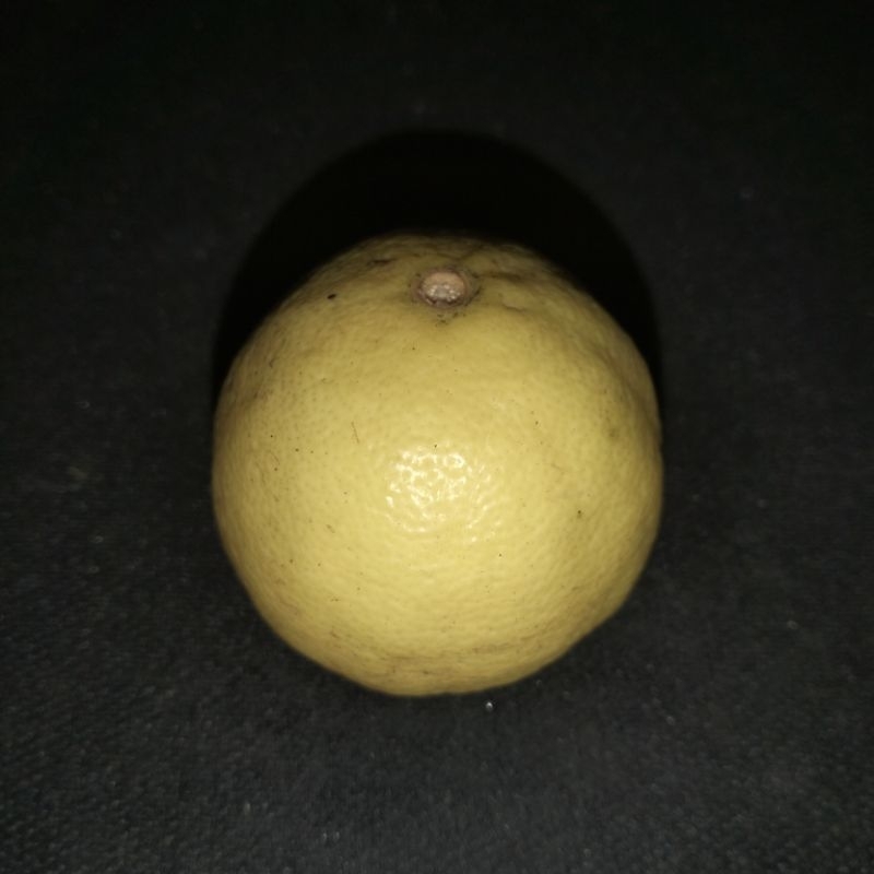 

Jeruk Nipis Kuning Fresh Banyak Air Berkualitas Terbaik Cocok Untuk Sehari hari Bisa di buat Jamu