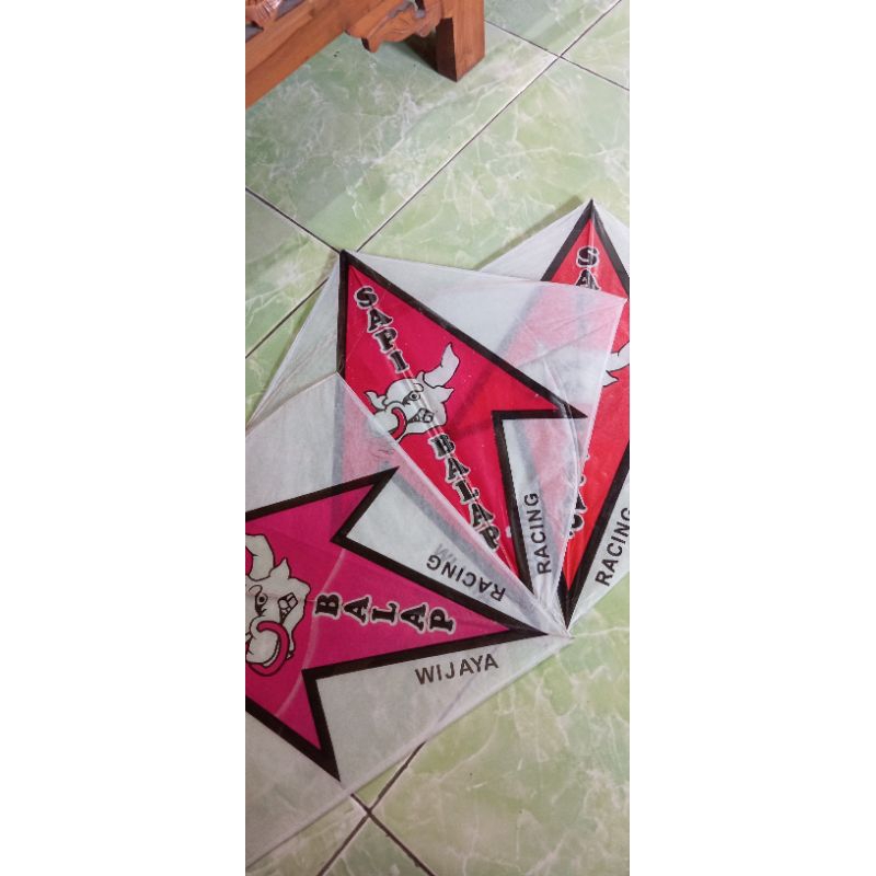 LAYANGAN SAPI BALAP(10 PCS)