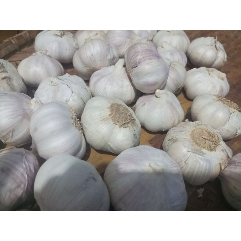 

Bawang Putih Goreng