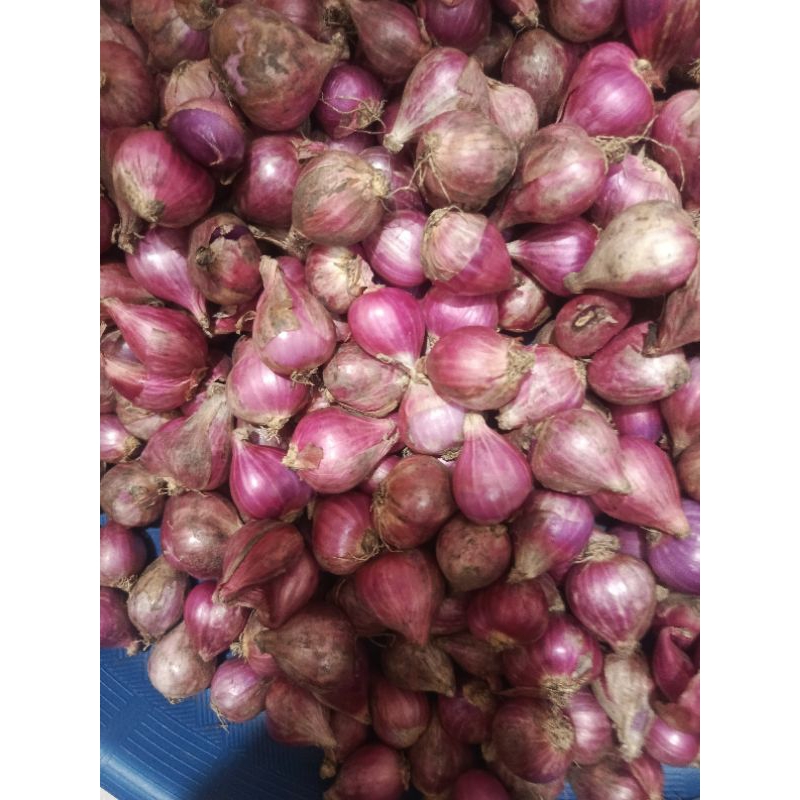 

BawangMerahBrebesKering