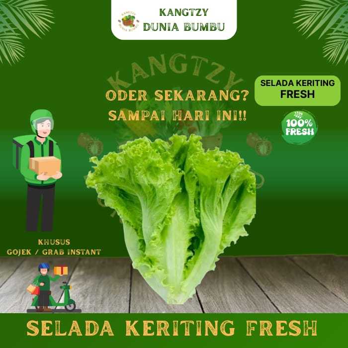 

Selada keriting fresh / salad untuk kemasan 1kg, 500g, 250g, 100g KHUSUS GRAB / GOJEK INSTANT DB15