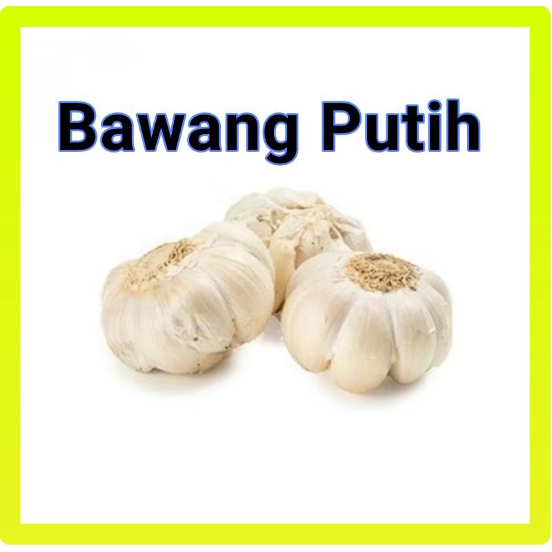

Bawang putih