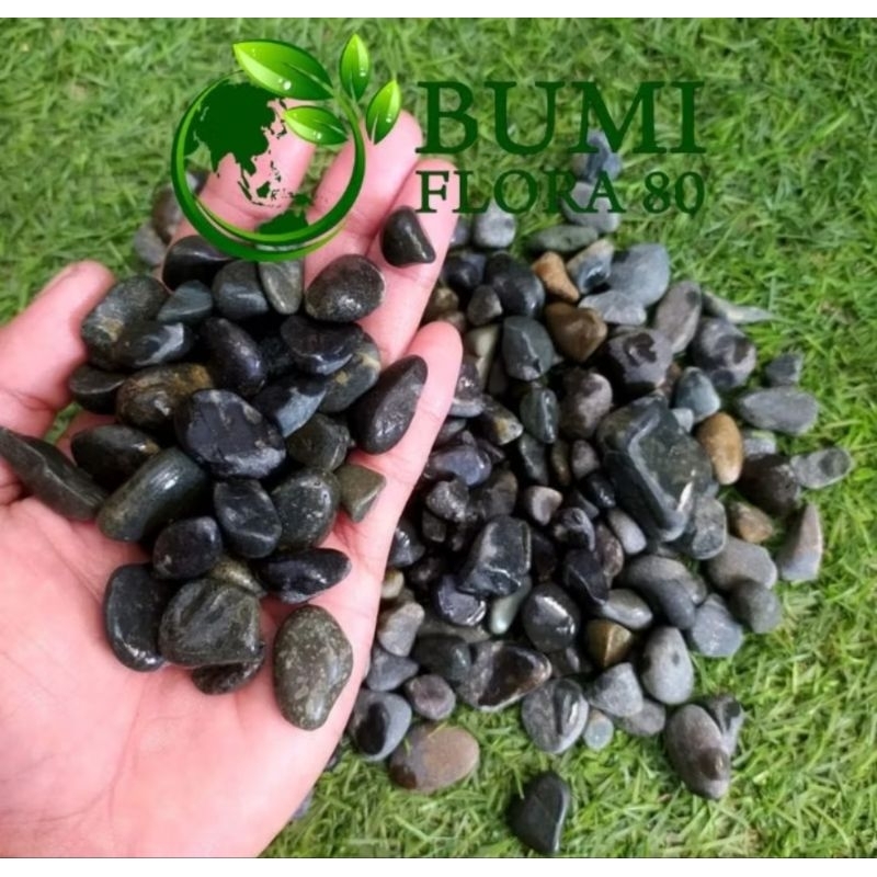 BATU HIAS HITAM/BATU KORAL BENGKULU HITAM HIASAN AQUARIUM/POT TANAMAN/TAMAN RUMAH DLL