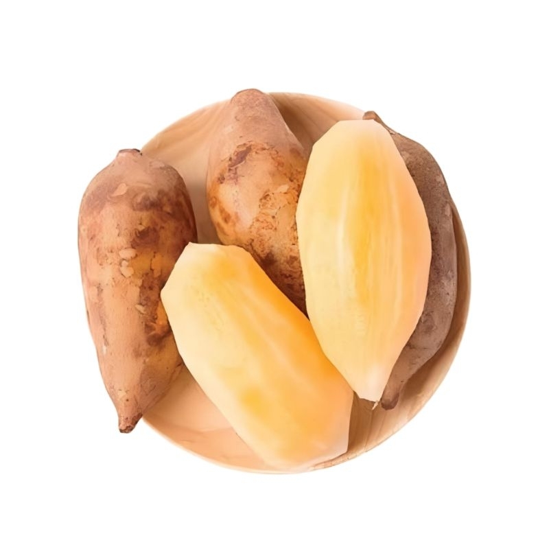 

ubi yakon/umbi yacon asli wonosobo harga /0,5 - 1kg segar manis organic 100% ready stock terbatas..