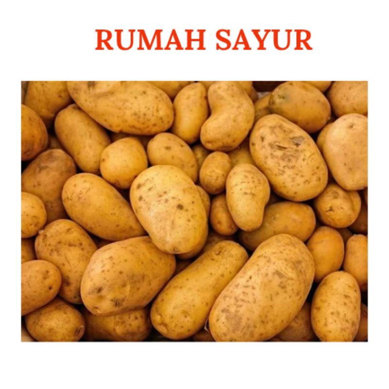 

Kentang besar 500g
