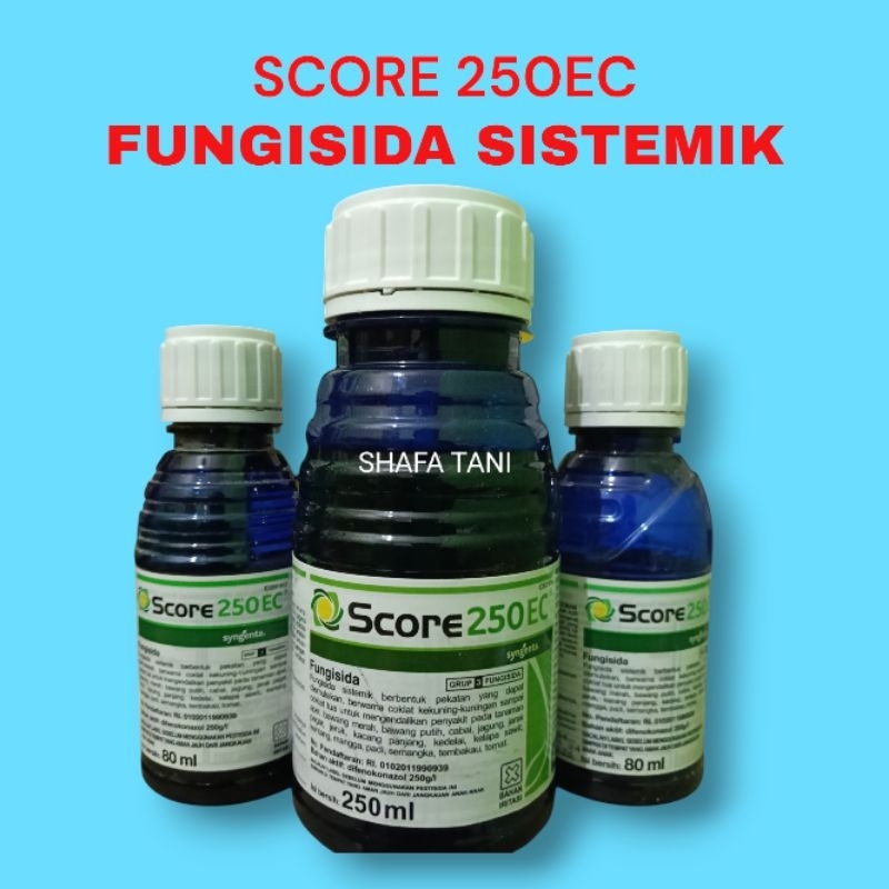 Score 250EC Fungisida Sistemik + ZPT