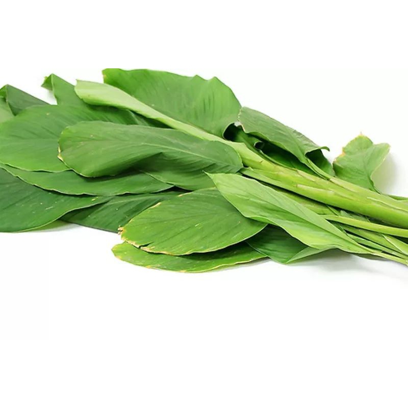 

DAUN KUNYIT PER IKAT ISI 5 Lembar