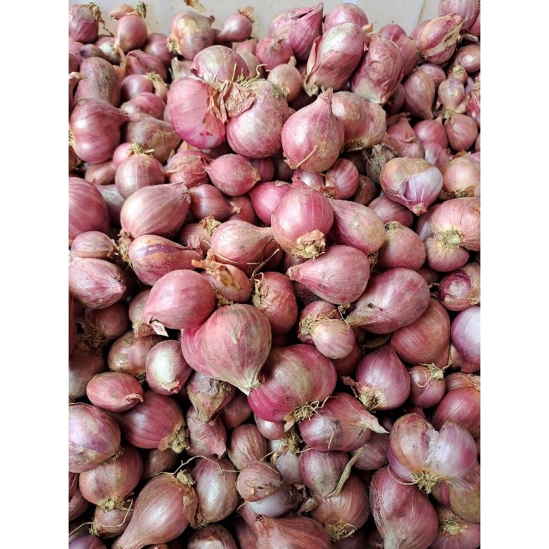 

bawang merah/ brambang/ bawang merah 250g 500g 1kg