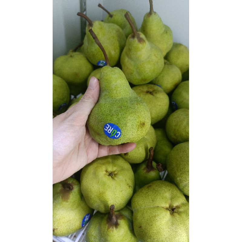 

pir jambu 500 gram 2 pcs