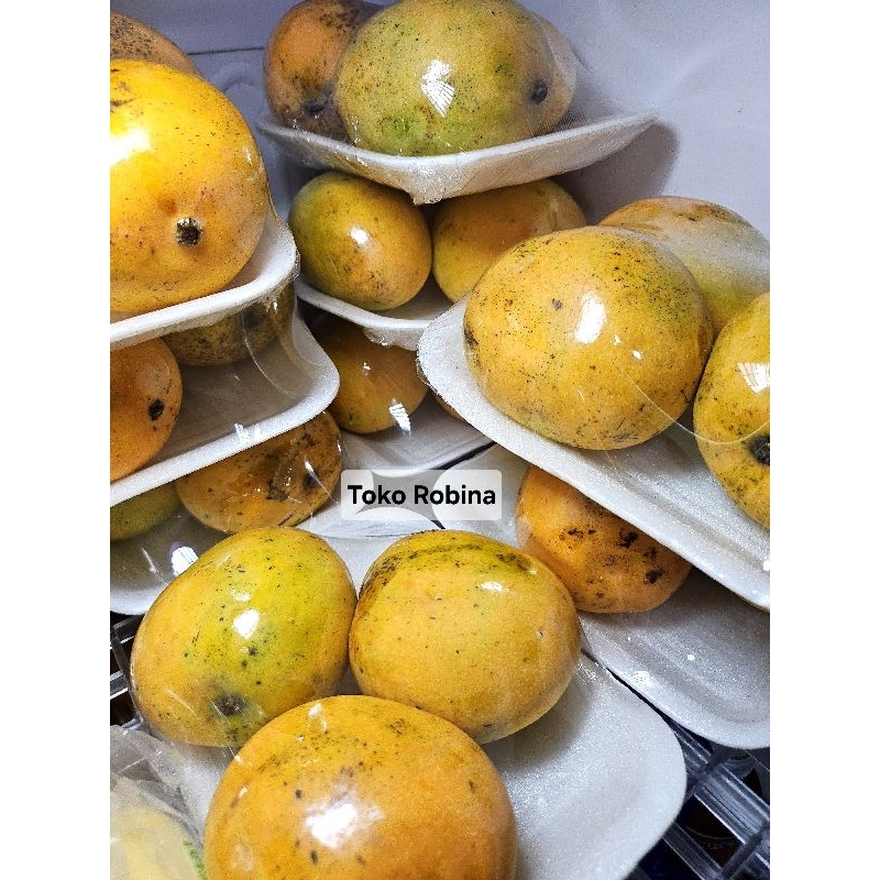 

Fresh Mangga Gincu Gedong Segar Pack