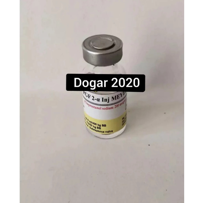 PGF2-a Inj Meyer 2ML - Hormon induksi birahi