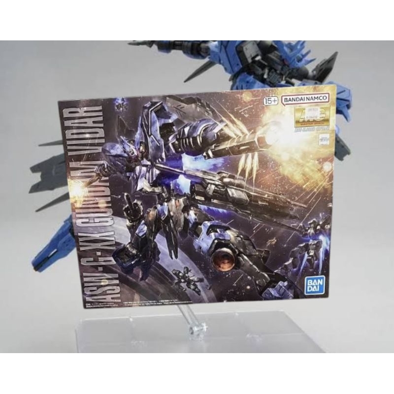 MG 1/100 Gundam Vidar