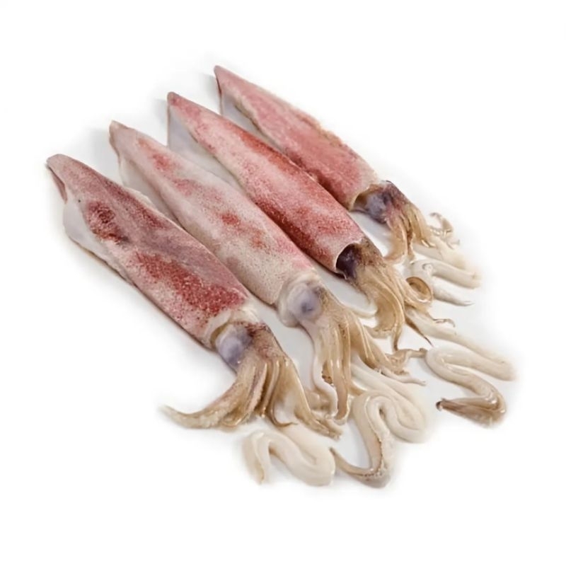 

Cumi Fresh 250gram