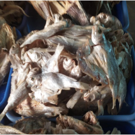 

Ikan Asin Kepala Batu 100gr