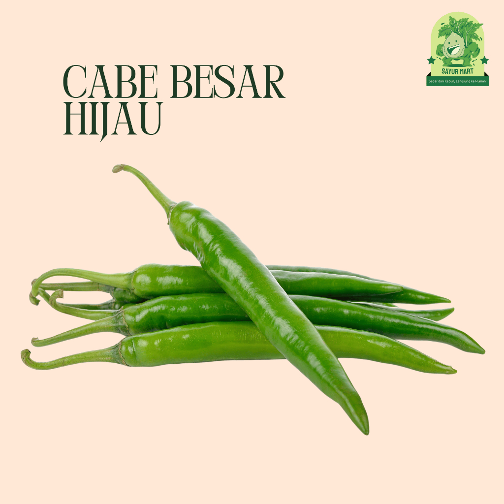 

Cabe Besar Hijau 100 Gram