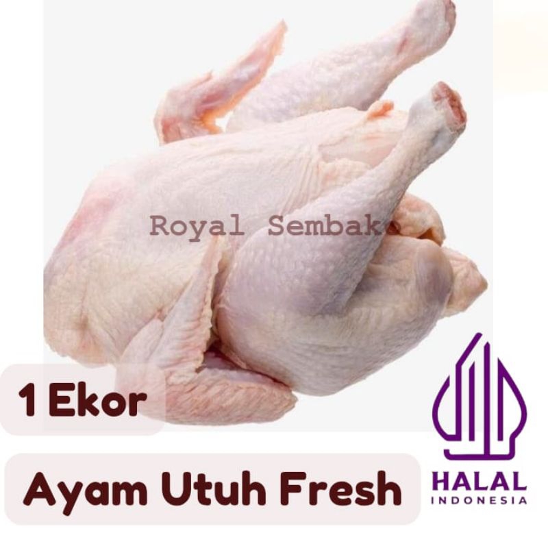 

TERMURAH AYAM UTUH 1 EKOR, FRESH, BERSIH, MURAH, BONELLES, TERJANGKAU, PREMIUM