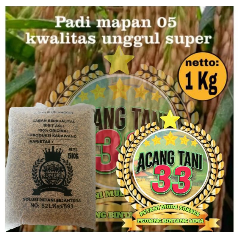 BENIH BIBIT PADI MAPAN 05 ORIGINAL SUPER UNGGUL (1KG).