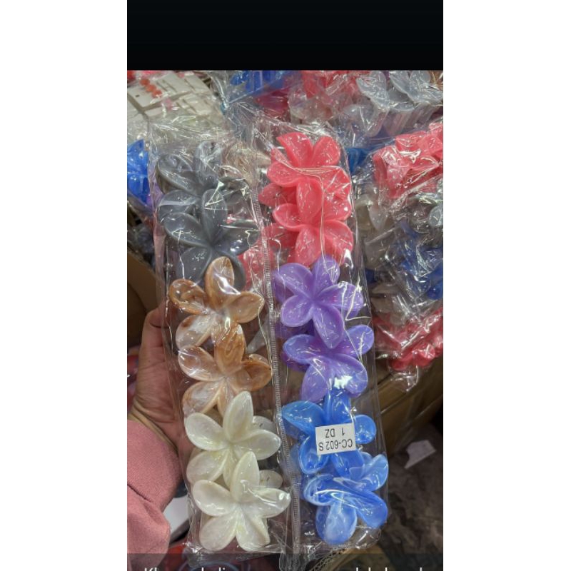 

Kamboja besar ukuran 8cm