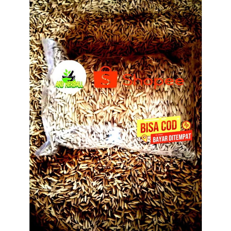 

BENIH PADI BERAS MERAH 1KG