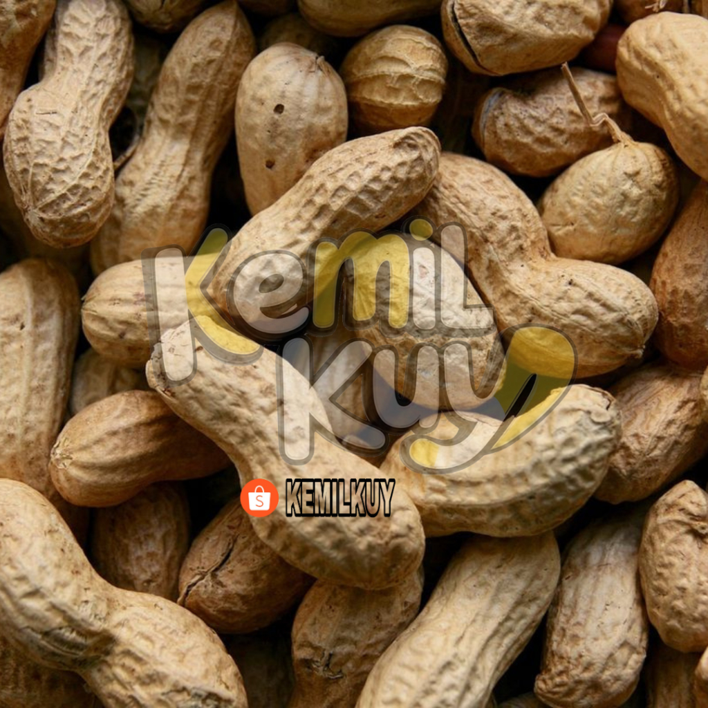 

Kacang Kulit Gurih Asin – 1 Pack Isi 10 pcs | Camilan Tradisional Renyah