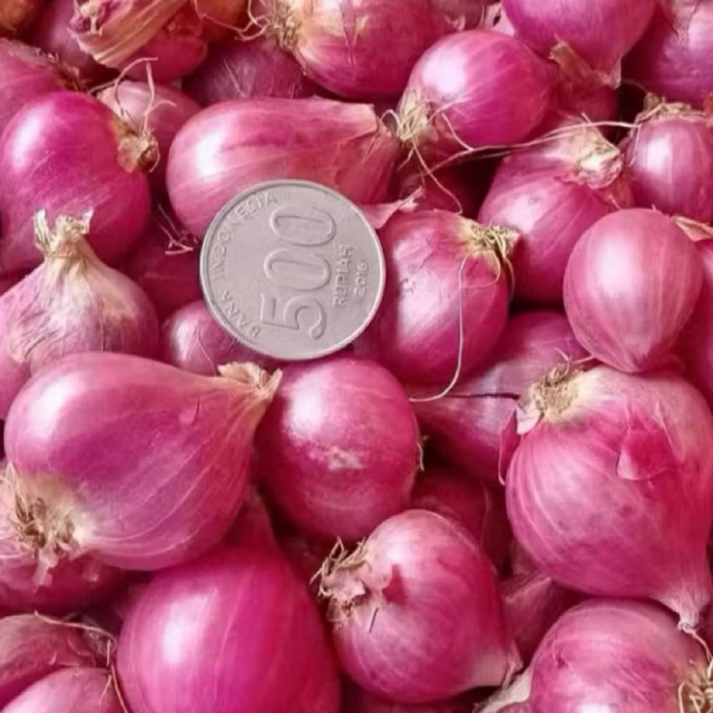 

Bawang Merah 1kg