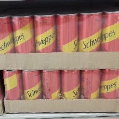 

Schweppes Ginger Ale 250ml 1 dus 24 pcs