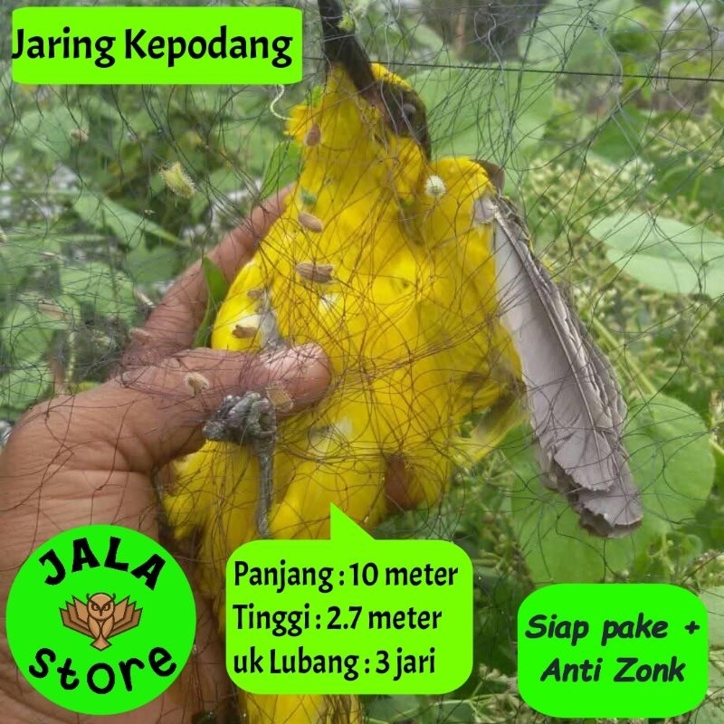 JALA KEPODANG JALA PUNAI JARING PUNAI PERANGKAP PUNAI JALA JARING PUNAI AMPUH JARINGAN PUNAI PIKAT B