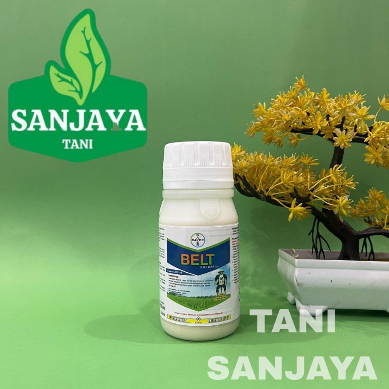 Belt Expert 480SC 250 ml Insektisida