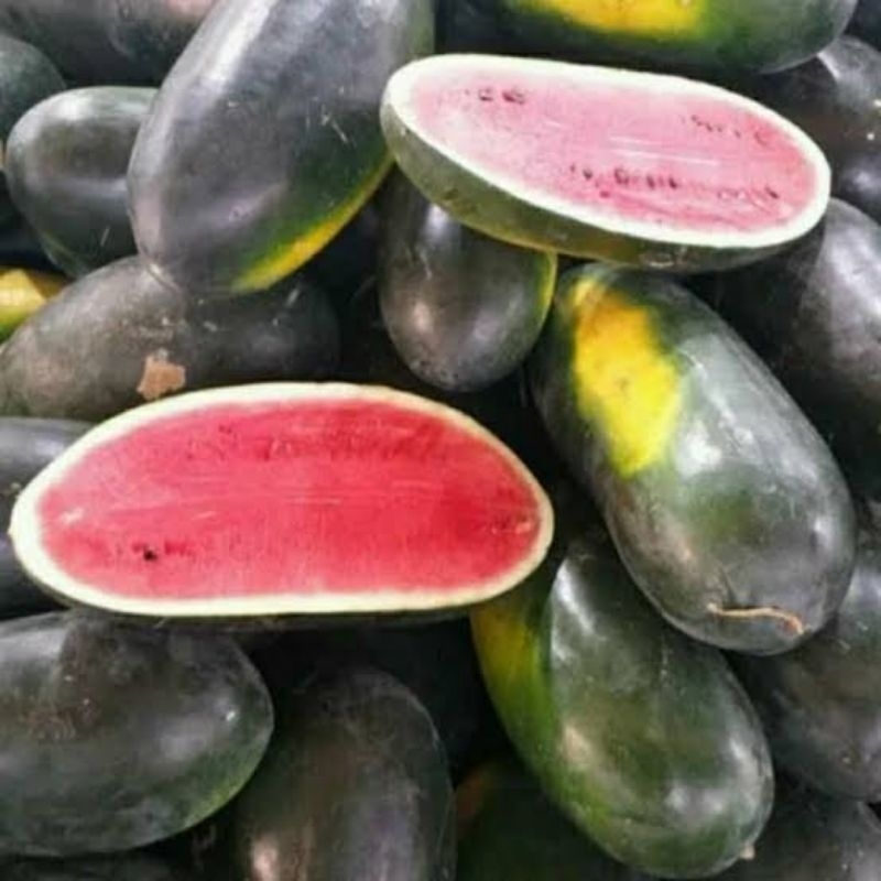 Semangka Inul 1 buah