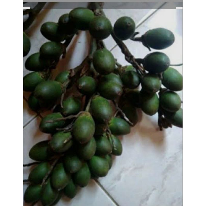 

buah pinang muda segar/buah jame muda Fress 500gram