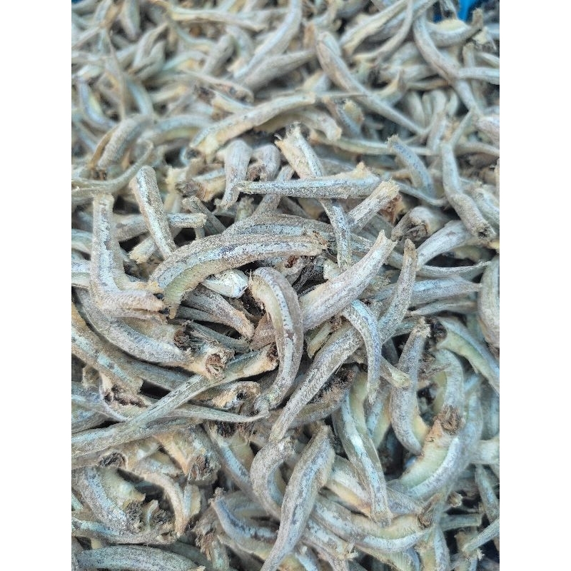 

Ikan teri Pesisir Padang 250gram