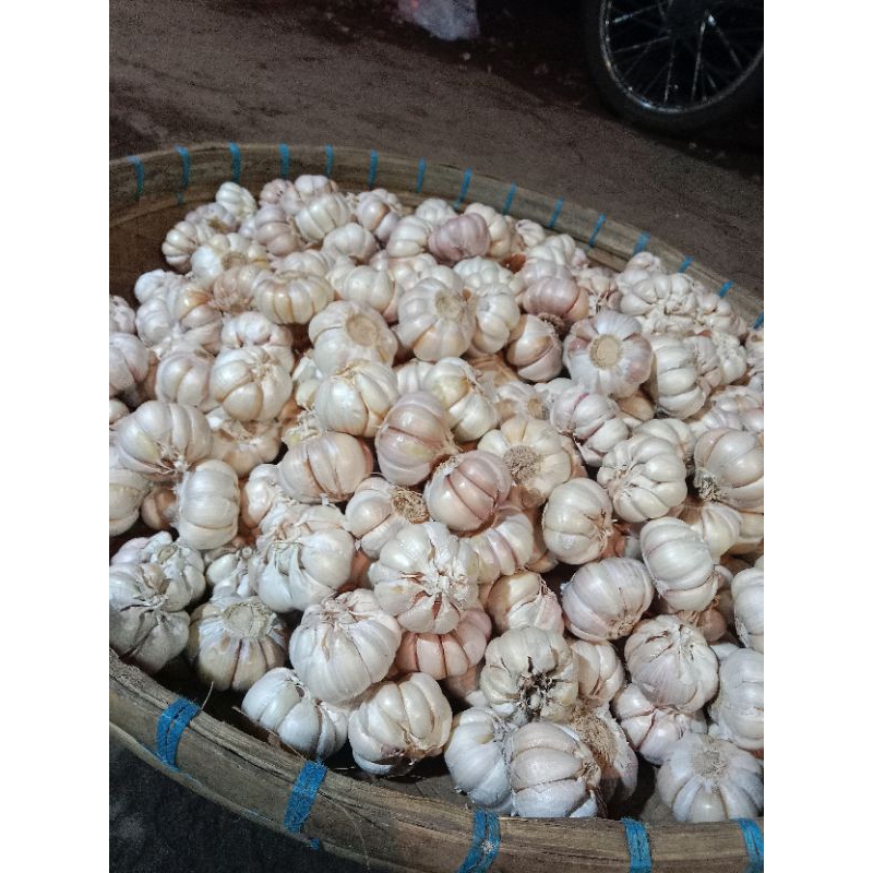

bawang putih pilihan