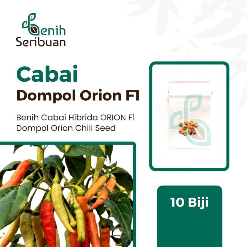 

Benih Seribuan - 10 Benih Cabe Rawit Dompol F1 Sayuran Cabai Hibrida