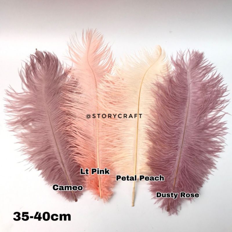 PER 1 HELAI - SIZE 35CM - 40CM / BULU DEKORASI BIJIAN / BULU OSTRICH BIJIAN / BULU HIASAN