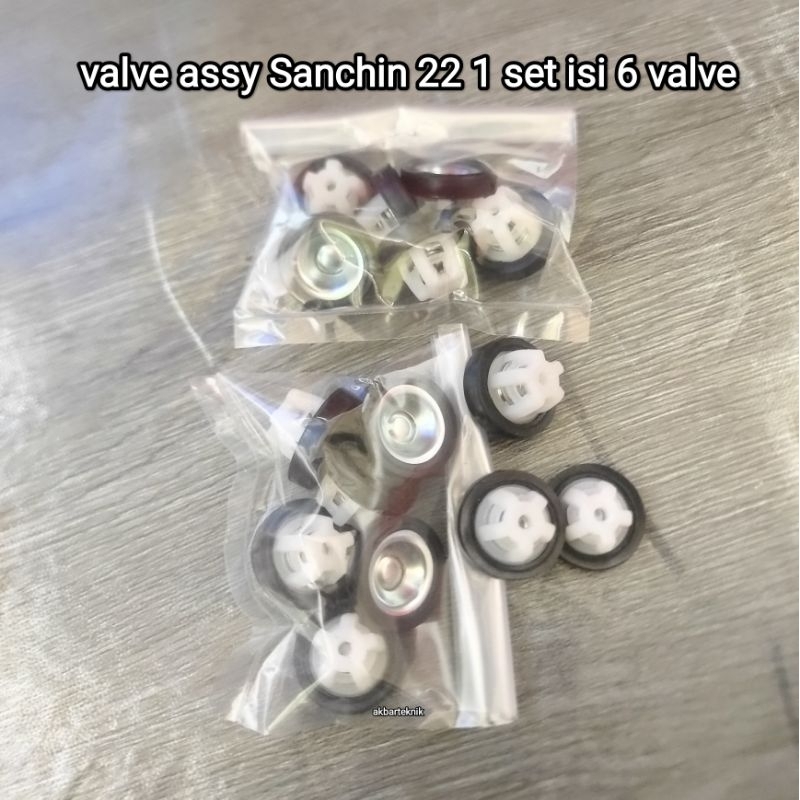 valve assy Sanchin 22 1 set isi 6 valve