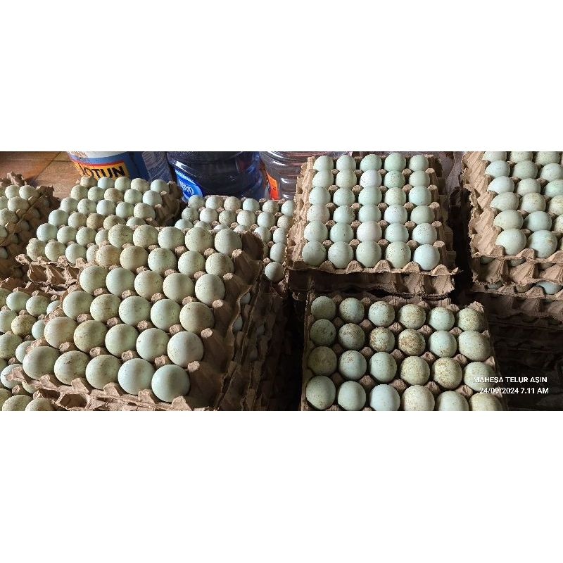 

TELUR BEBEK FRESH (MENTAH)