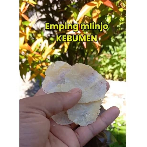 

Nycyta Home Emping Mlinjo Asli Poduk Kebumen 250Gr