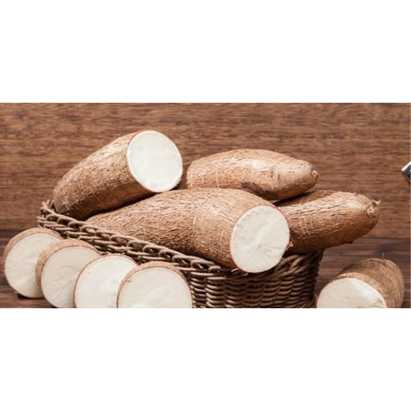 

singkong ketan | singkong kulit putih 1 kg