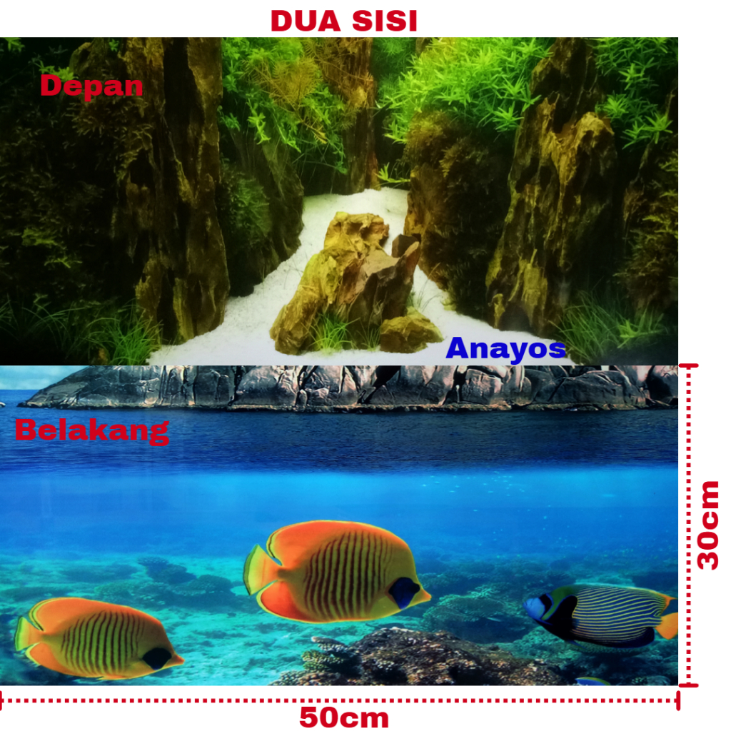 Wallpaper Background Aquarium Tinggi 30 Cm Panjang 50 Cm Motif 07