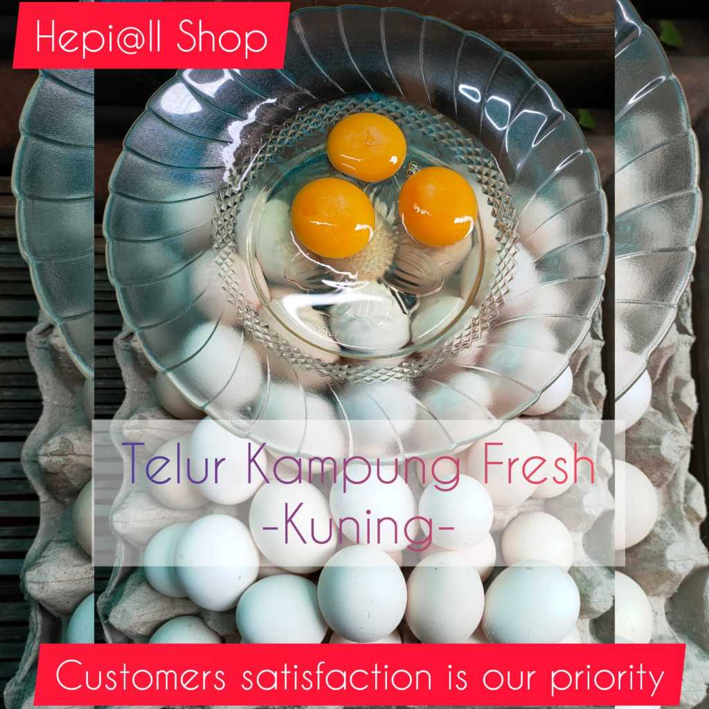 

Telur Ayam Kampung Kuning_Fresh (SELECTED)