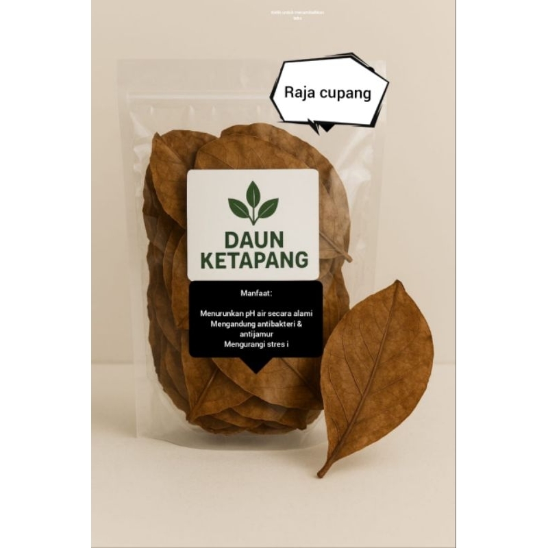 

daun ketapang olahan