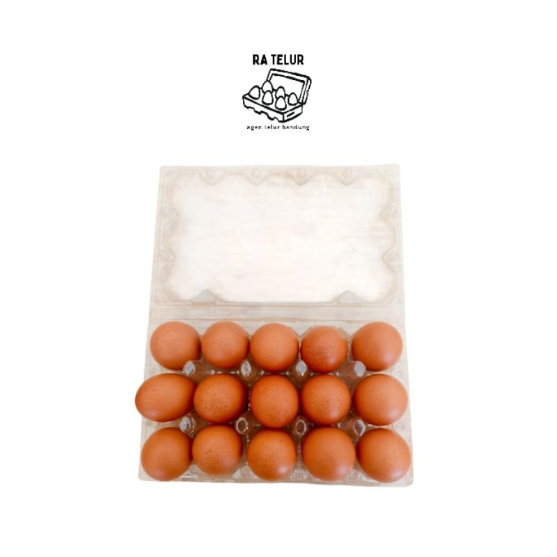 

Telur Ayam isi 15 butir