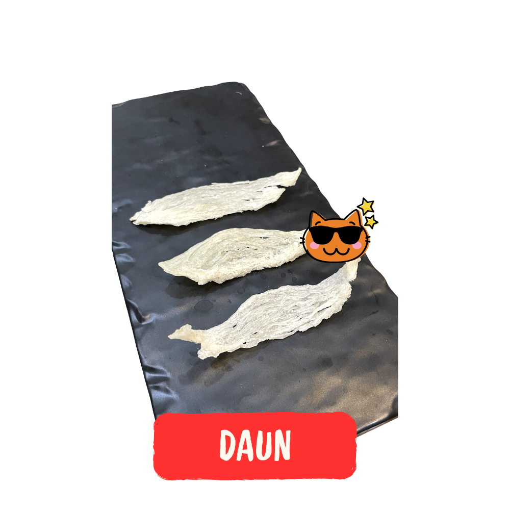 

Sarang Burung Walet / Bird Nest / Yan Wo / Yen Wo / 燕窝 - Daun