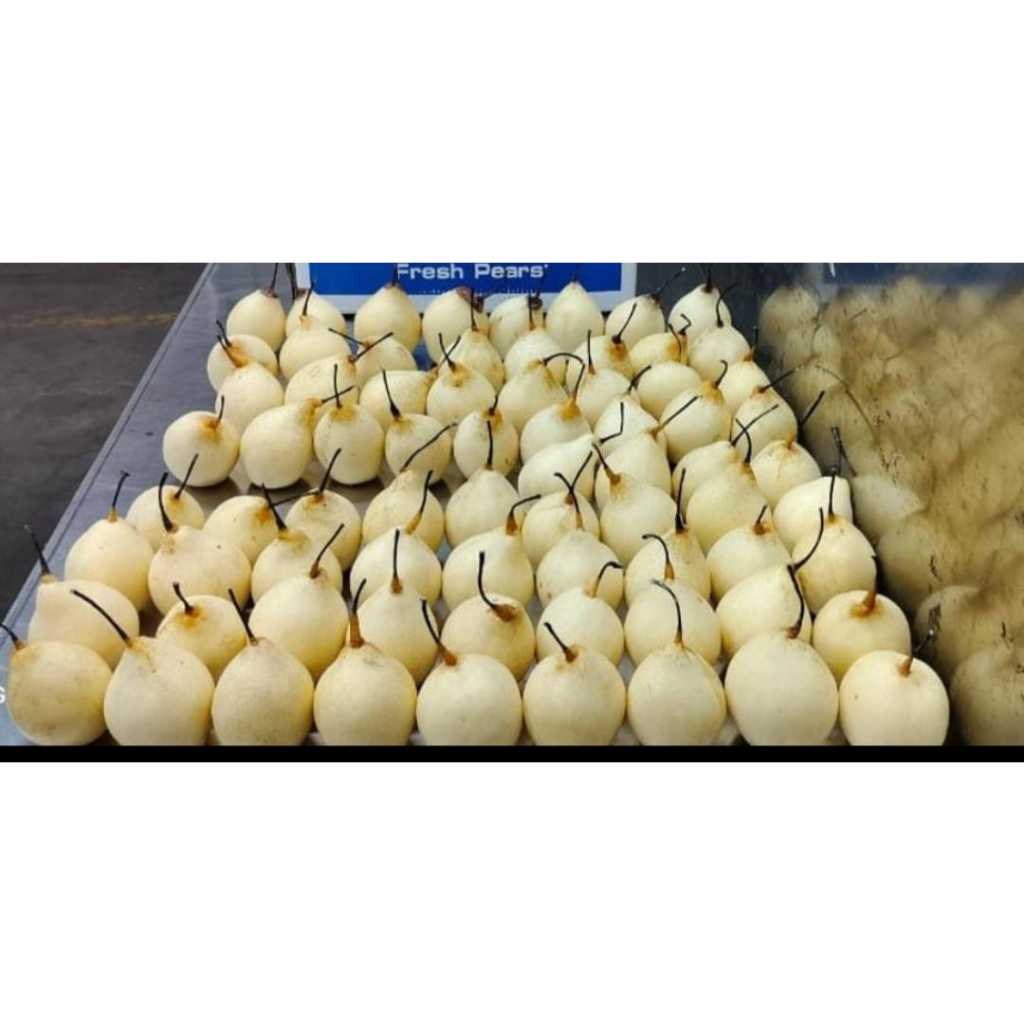 

Pear Yakli (kemasan 500gr - 1kg)