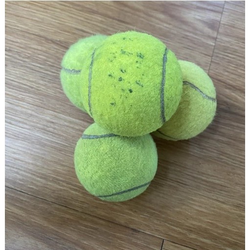 BOLA KASTI ATAU BOLA TENIS LAPANGAN BEKAS BISA PAKAI LATIHAN DRILL / MAINAN HEWAN