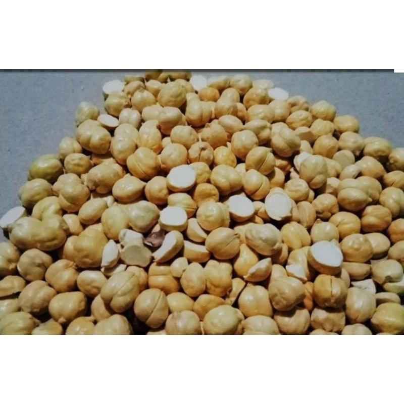 

kacang Arab Humush oleh oleh haji dan umroh