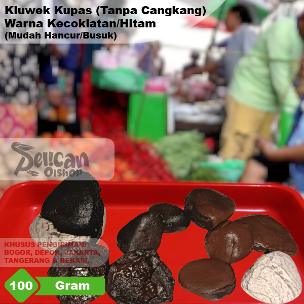 

Kluwak Kluwek Segar KHUSUS JABODETABEK Kepayang Keluak Keluek Pucung Picung Kluak Kluek Kupas Keluwak Keluwek Klewek Kupas Kepayang Premium 100 gram bumbu hitam